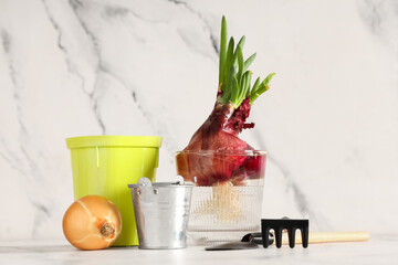 Glass with cultivated green onion, bucket, pot and gardening tools on white grunge background