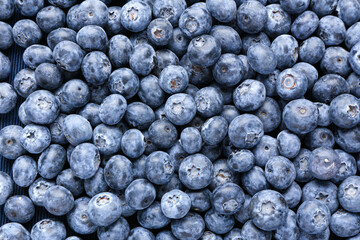 Texture of sweet fresh blueberries as background