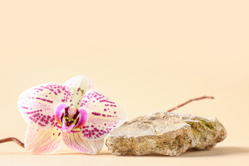 Stone with beautiful orchid flower on yellow background