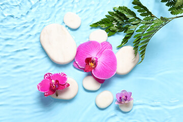 Spa stones and orchid flowers in water on blue background
