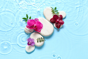 Spa stones and orchid flowers in water on blue background