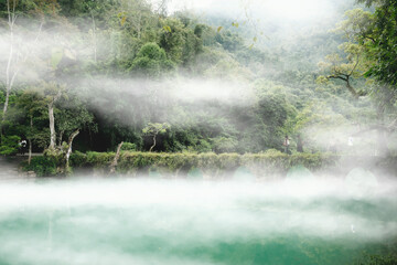 Tranquil Mist Flowing Over a Reflective Lake Surrounded by Verdant Nature