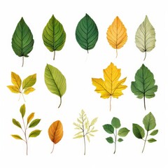 Obraz premium the ai generated image, Collection of Vibrant Fall Leaves in a Spectrum of Colors, isolated on