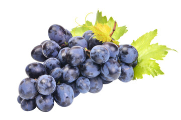 Grapes isolated on white