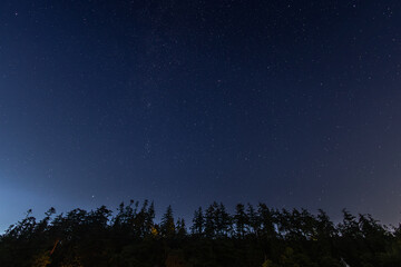 Fototapeta premium starry night sky