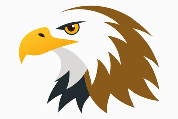 Eagle head illustration in high detail, perfect for branding, logos, and wildlife themes.