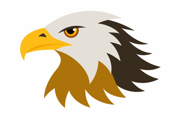 Eagle head illustration in high detail, perfect for branding, logos, and wildlife themes.
