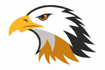Fototapeta premium Eagle head illustration in high detail, perfect for branding, logos, and wildlife themes.