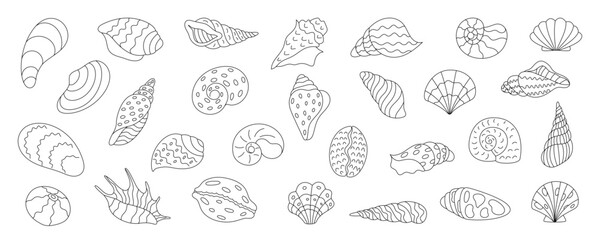 Detailed shells, coral, kelp in marine underwater setting. Ocean aquarium life, colorful seashells, isolated cute and vibrant elements. Starfish and clams also included.