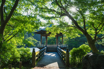 千葉　成田山公園