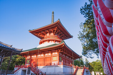 Fototapeta premium 千葉 成田山新勝寺（平和大塔）
