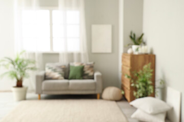 Blurred view of light living room with grey sofa, drawers and green plants
