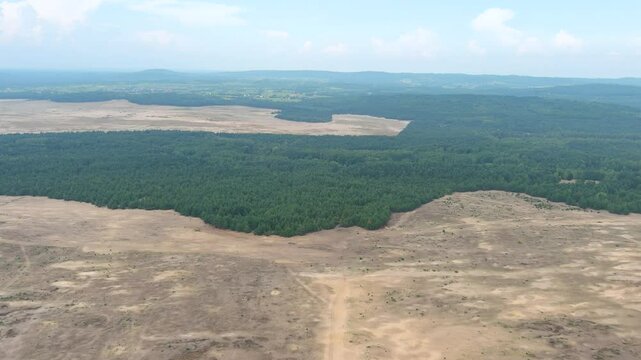 Bledowska Desert aka Polish Sahara aka Pustynia Bledowska. The only desert in Poland and the largest inland area of loose sand in Europe. Silesian Highlands in the Lesser Poland Voivodeship.