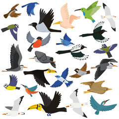 Fototapeta premium vector drawing set of flying birds, isolated nature design elements, hand drawn illustration