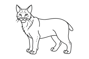 tiger silhouette image vector line art design