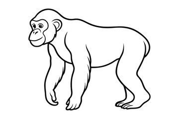 Obraz premium Gorillas Drawing Images line art vector design