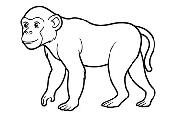 Obraz premium Gorillas Drawing Images line art vector design