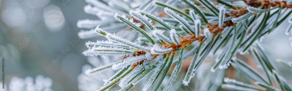 Poster a close-up shot of a pine branch covered in frost on a cold winter day. the needles are frosted and 