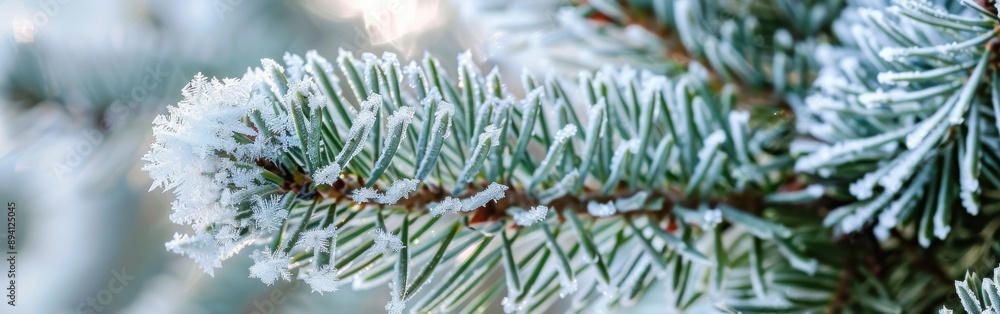 Poster a close-up photograph of an evergreen branch covered in frost on a cold winter day. the delicate fro