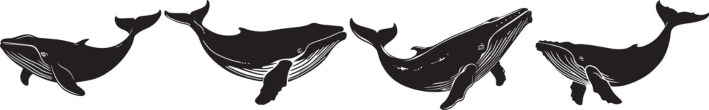 A collection of vector silhouettes featuring humpback whales in various poses, showcasing their majestic form.