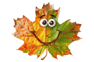 Colorful autumn leaf with a happy smiley face and googly eyes, isolated on white background, perfect for a cheerful, seasonal concept.