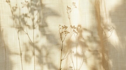 Floral Shadows on Sheer Fabric