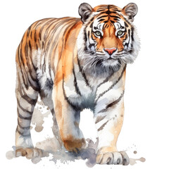 Naklejka premium tiger isolated on white background