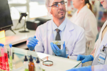 Fototapeta premium scientists perform experiments and record data. people arranges equipment with test tubes and chemicals for producing medicine and biochemistry. man hold tubes of chemical liquids and plant samples.