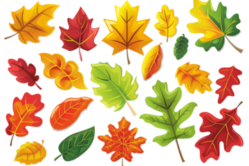 autumn leaves collection