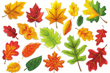 fall set of leaves