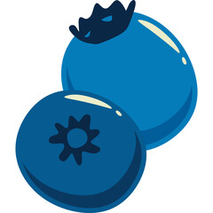 Blueberries Fruit Illustration