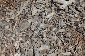 Natural tan bark background texture, tan and grey