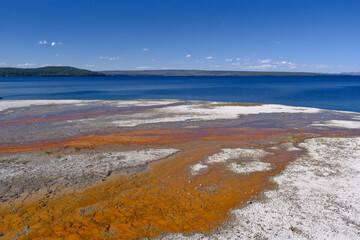 sulfur on shore of Yellowstone Lake, at West Thumb Geyser Basin in Yellowstone National Park, USA