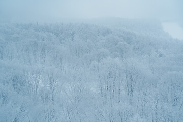 View of Snow monster in Winter day at Mount Zao ski resort, Yamagata prefecture, Japan. powder snow...