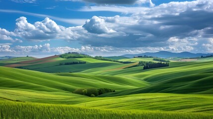 Fototapeta premium Rolling Hills of Tuscany Under a Cloudy Sky