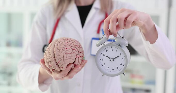 Doctor holds brain model and alarm clock in hospital