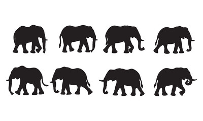 Isolated elephant on the white background. elephant silhouettes. Vector EPS 10.	