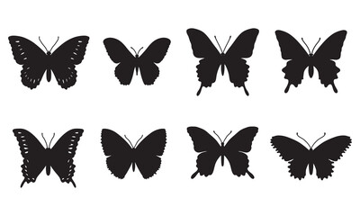 Isolated butterfly on the white background. butterfly silhouettes. Vector EPS 10.	