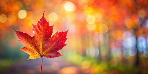 Vibrant red maple leaf on a blurry autumn background, Autumn, Nature, Canada, Symbol, Red, Forest, Foliage, Icon, Seasonal