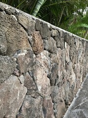 Lava rock wall with tropical palms