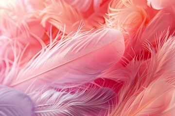 Delicate Pink Feathers Texture