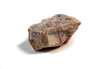 Pelitic Schist Rock isolated on white Background