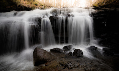 Fototapeta premium waterfall in the forest