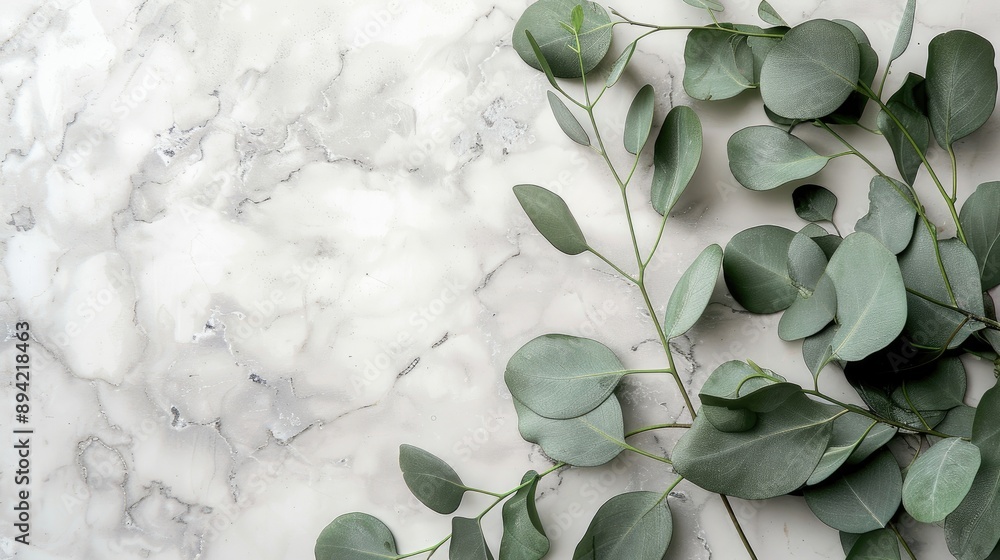 Poster eucalyptus branches on pastel gray background with marble paper top view with space for text