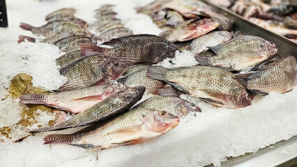 Tilapia Fish, Fresh Tilapia Fish on ice sold in supermarkets. Fish Raw on ice at the fish market. Seafood in the shop, Product Display Shelf.
