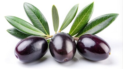 Three plump black olive fruits adorned with delicate green leaves rest on a solitary branch, isolated against a pristine white background, evoking freshness and simplicity.