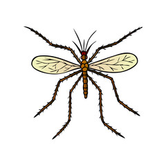 mosquito vector illustration