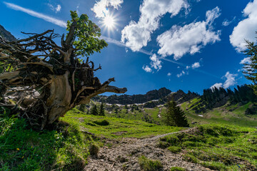 Mountain tour over the Brunnenauscharte to the Hochgrat on the Nagelfluhkette