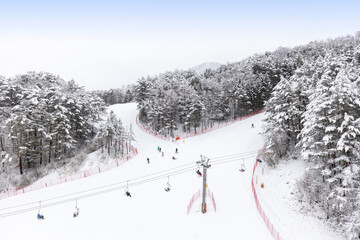 Pyeongchang-gun, Gangwon-do, South Korea - January 15, 2023: Aerial view of skiers on snow covered slope with moving gondola at Yongpyeong Ski Resort of Balwangsan Mountain  © JinChang