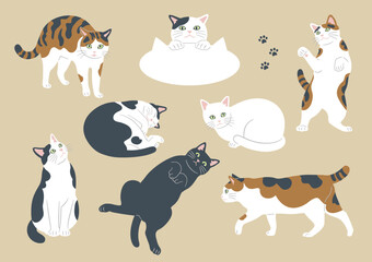 Fototapeta premium かわいい猫のいろいろな模様とポーズのイラスト